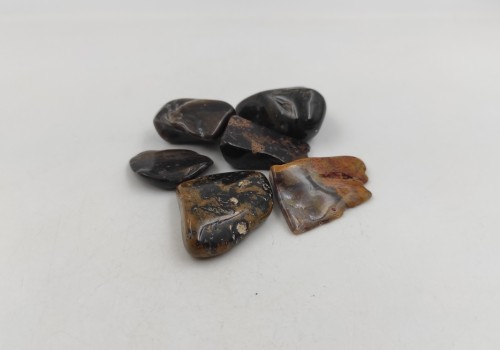 Απολιθωμένο ξύλο