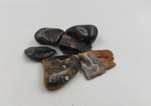 Απολιθωμένο ξύλο Απολιθωμένο ξύλο