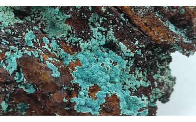 Ροζασίτης (Rosasite)