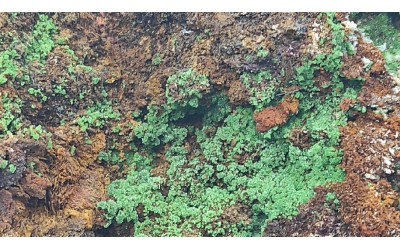 Κονιχαλκίτης (Conichalcite)