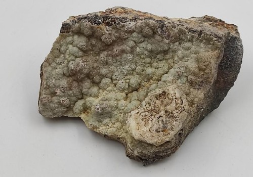 Σμισθονίτης Λαυρίου