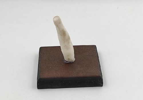 Καλσίτης με βάση από ξύλο