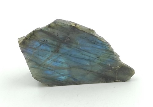 ΛΑΒΡΑΔΟΡΙΤΗΣ ΛΑΒΡΑΔΟΡΙΤΗΣ