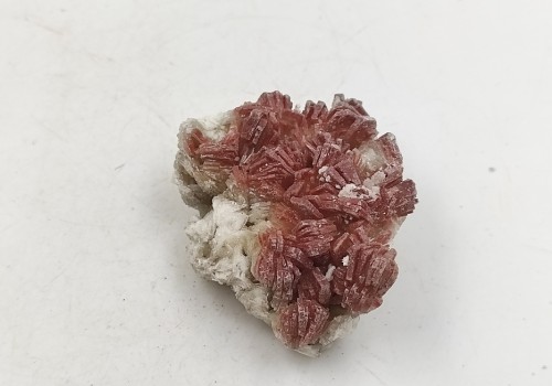 Βαρύτης Βαρύτης