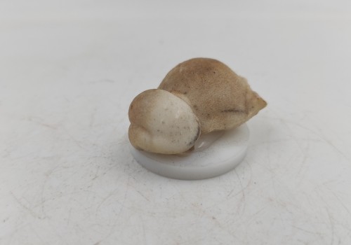 Αραγωνίτης Λαυρίου 