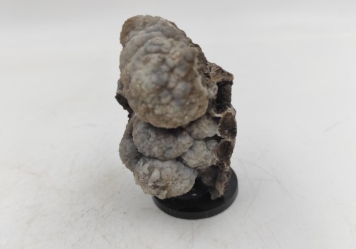 Καλσίτης η Ασβεστίτης Καλσίτης η Ασβεστίτης