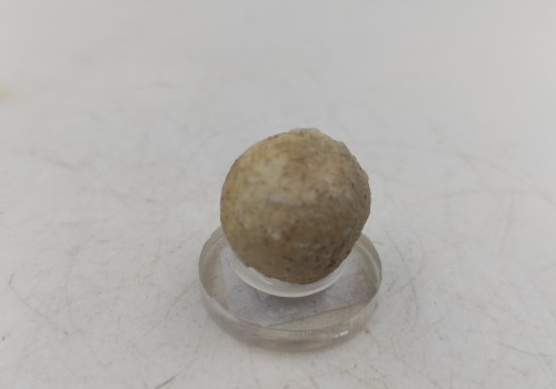 Καλσίτης η Ασβεστίτης