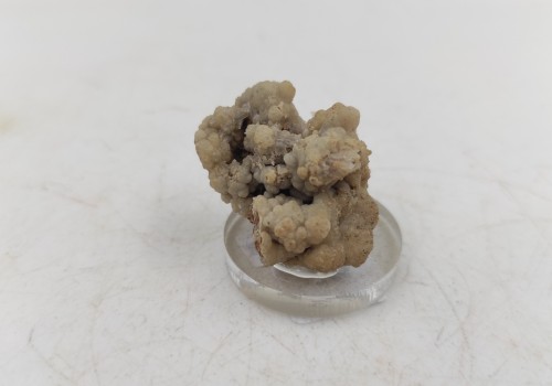 Καλσίτης η Ασβεστίτης