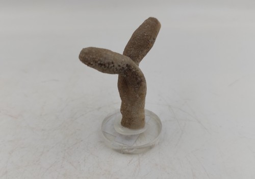 Καλσίτης η Ασβεστίτης