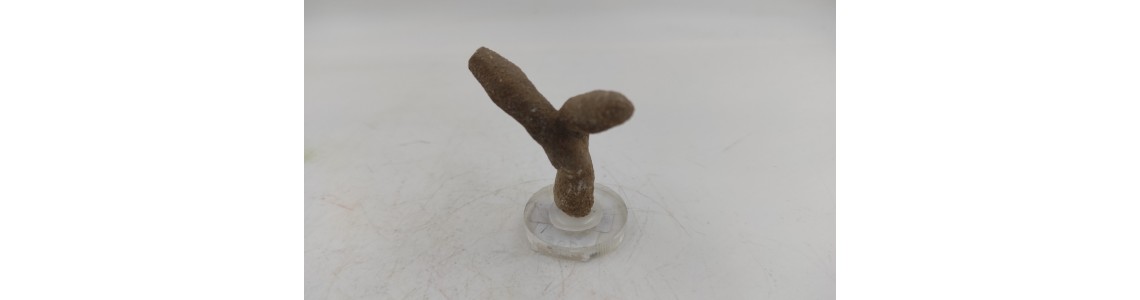 Καλσίτης (Calcite)