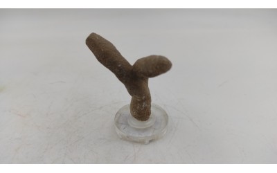 Καλσίτης (Calcite)