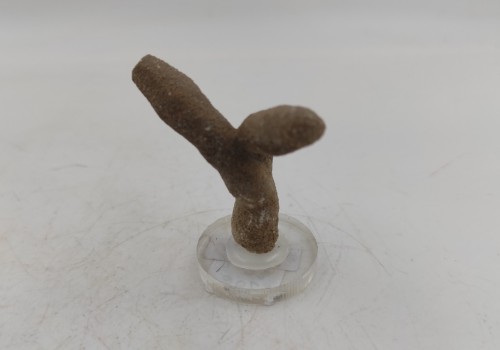 Καλσίτης η Ασβεστίτης Καλσίτης η Ασβεστίτης