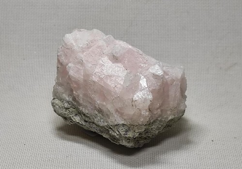 ΚΑΛΣΊΤΗΣ ΡΟΖ