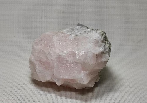 ΚΑΛΣΊΤΗΣ ΡΟΖ