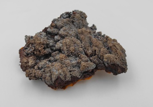 ΓΚΕΤΙΤΗΣ ΓΚΕΤΙΤΗΣ