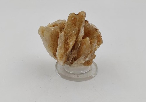 ΒΑΡΥΤΗΣ ΛΑΥΡΙΟΥ