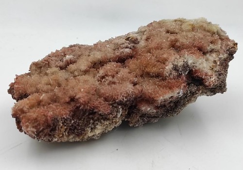 ΒΑΡΥΤΗΣ ΛΑΥΡΙΟΥ ΒΑΡΥΤΗΣ ΛΑΥΡΙΟΥ