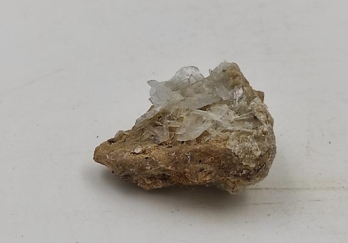 ΒΑΡΥΤΗΣ ΛΑΥΡΙΟΥ ΒΑΡΥΤΗΣ ΛΑΥΡΙΟΥ