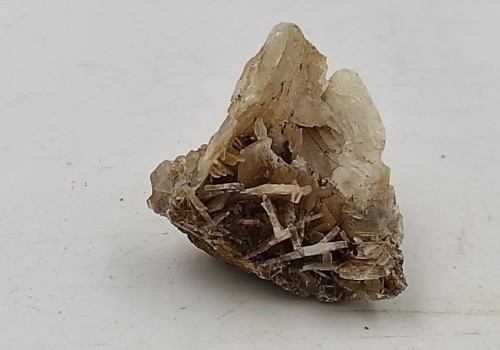 ΒΑΡΥΤΗΣ ΛΑΥΡΙΟΥ