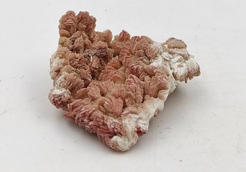 ΒΑΡΥΤΗΣ ΛΑΥΡΙΟΥ