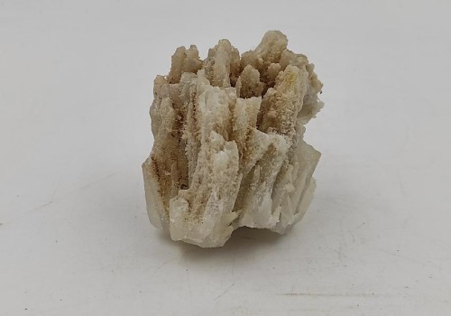 ΒΑΡΥΤΗΣ ΛΑΥΡΙΟΥ