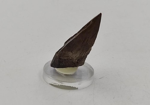 ΚΑΛΣΙΤΗΣ ΛΑΥΡΙΟΥ  