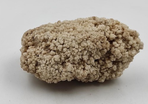 ΚΑΛΣΙΤΗΣ ΛΑΥΡΙΟΥ  