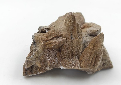 ΚΑΛΣΙΤΗΣ ΛΑΥΡΙΟΥ  