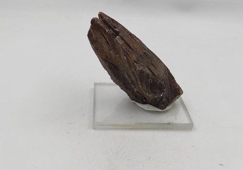 ΚΑΛΣΙΤΗΣ ΛΑΥΡΙΟΥ  