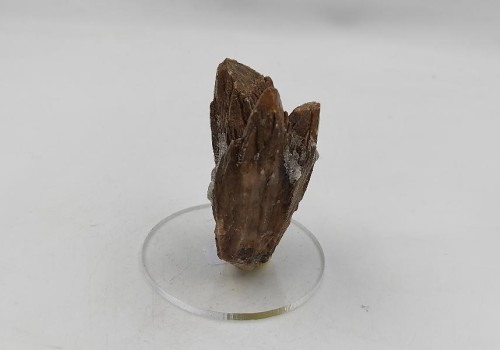 ΚΑΛΣΙΤΗΣ ΛΑΥΡΙΟΥ ΚΑΛΣΙΤΗΣ ΛΑΥΡΙΟΥ