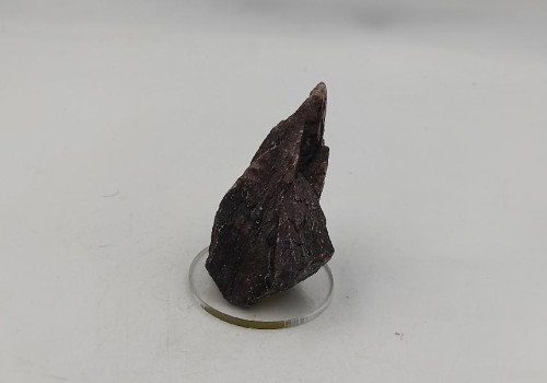 ΚΑΛΣΙΤΗΣ ΛΑΥΡΙΟΥ  