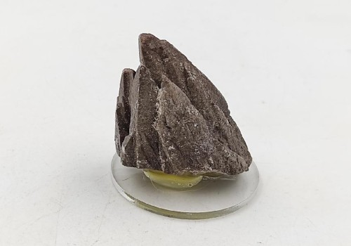 ΚΑΛΣΙΤΗΣ ΛΑΥΡΙΟΥ  