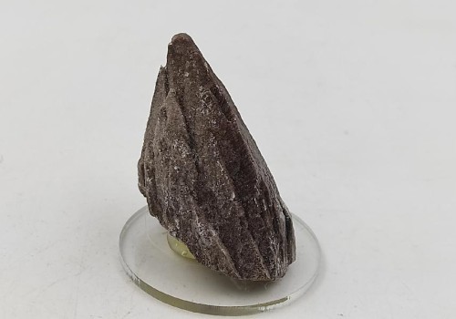 ΚΑΛΣΙΤΗΣ ΛΑΥΡΙΟΥ  