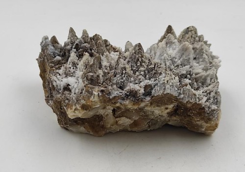 ΚΑΛΣΙΤΗΣ ΛΑΥΡΙΟΥ  