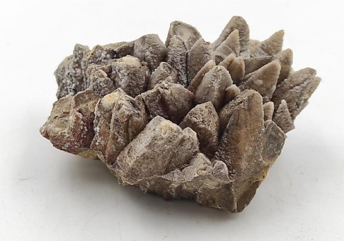 ΚΑΛΣΙΤΗΣ ΛΑΥΡΙΟΥ  