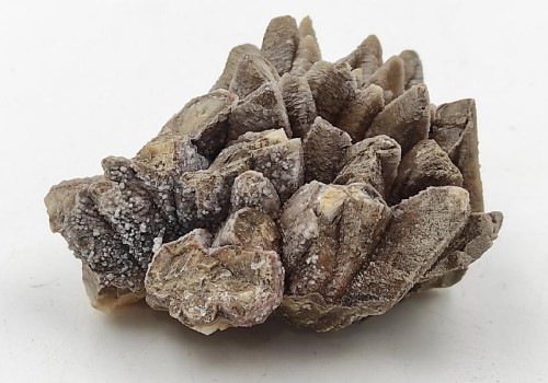 ΚΑΛΣΙΤΗΣ ΛΑΥΡΙΟΥ ΚΑΛΣΙΤΗΣ ΛΑΥΡΙΟΥ