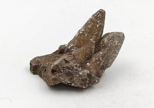 ΚΑΛΣΙΤΗΣ ΛΑΥΡΙΟΥ  