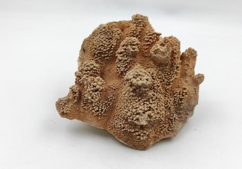 ΚΑΛΣΙΤΗΣ ΛΑΥΡΙΟΥ  