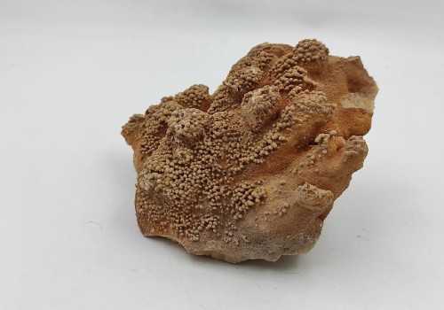 ΚΑΛΣΙΤΗΣ ΛΑΥΡΙΟΥ ΚΑΛΣΙΤΗΣ ΛΑΥΡΙΟΥ