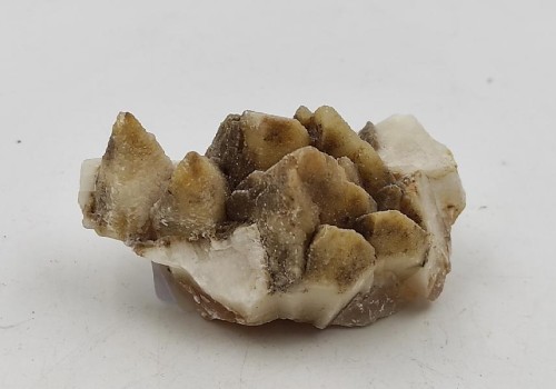 ΚΑΛΣΙΤΗΣ ΛΑΥΡΙΟΥ  