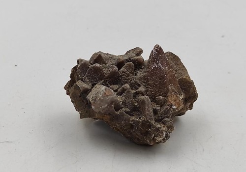 ΚΑΛΣΙΤΗΣ ΛΑΥΡΙΟΥ  