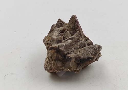 ΚΑΛΣΙΤΗΣ ΛΑΥΡΙΟΥ  