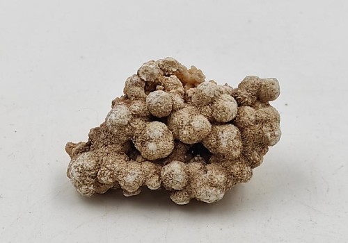 ΚΑΛΣΙΤΗΣ ΛΑΥΡΙΟΥ  