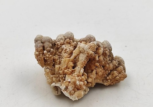 ΚΑΛΣΙΤΗΣ ΛΑΥΡΙΟΥ  