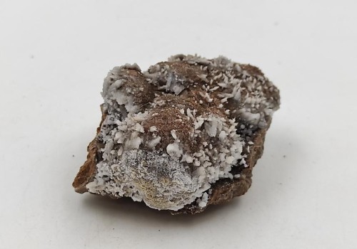 ΚΑΛΣΙΤΗΣ ΛΑΥΡΙΟΥ  