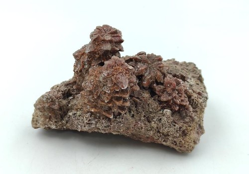 ΚΑΛΣΙΤΗΣ ΛΑΥΡΙΟΥ  