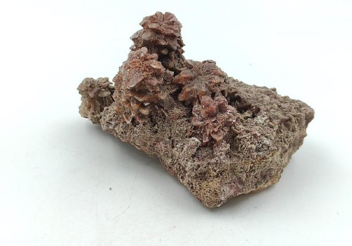 ΚΑΛΣΙΤΗΣ ΛΑΥΡΙΟΥ ΚΑΛΣΙΤΗΣ ΛΑΥΡΙΟΥ