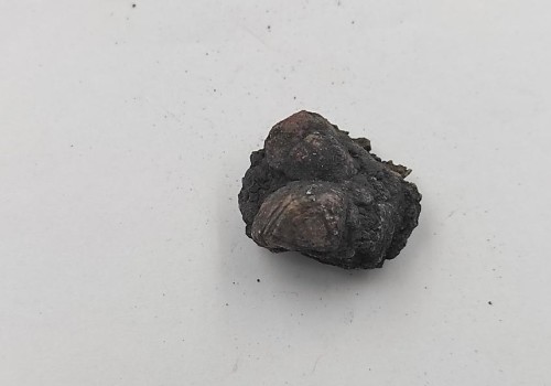 ΣΙΔΕΡΙΤΗΣ ΛΑΥΡΙΟΥ