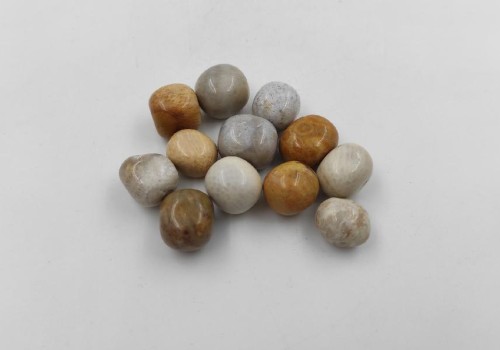 ΑΠΟΛΙΘΩΜΕΝΟ ΚΟΡΑΛΙ