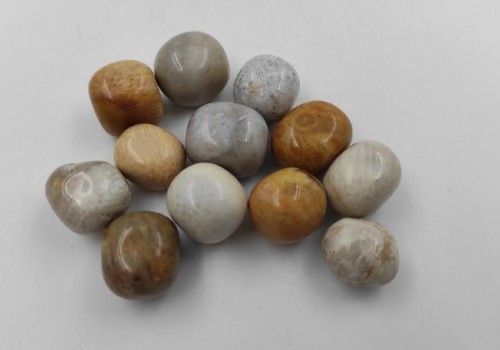 ΑΠΟΛΙΘΩΜΕΝΟ ΚΟΡΑΛΙ ΑΠΟΛΙΘΩΜΕΝΟ ΚΟΡΑΛΙ